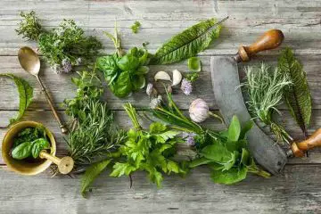 Top 10 Herbs for Your Nerves (Calm Your Nervous System Naturally)