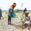 India’s Doing it again: They Plant 250 Million Saplings as Part of their Reforesting Campaign