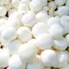 New Study Finds that Eating White Button Mushrooms Could Slow Down Prostate Cancer Progression
