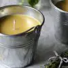Say Goodbye to Annoying Mosquitoes with this DIY Repelling Citronella Candle