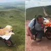 Man Takes Dying Dog for One Last Walk Up the Mountain Carrying It in a Wheelbarrow