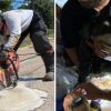 Firefighters Rescue a Deaf Dog from Storm Drain in a 10-Hour Operation