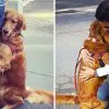 Friendly Golden Retriever Stops & Hugs Every Single Person She Sees on Her Walks