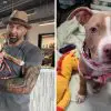Actor Dave Bautista Adopts Abused Puppy & Offers $5,000 to Find the “Sick Piece of S**t” Who Harmed Her
