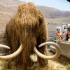 Biotech Company Raises $15 Million to Bring the Woolly Mammoth back to Life