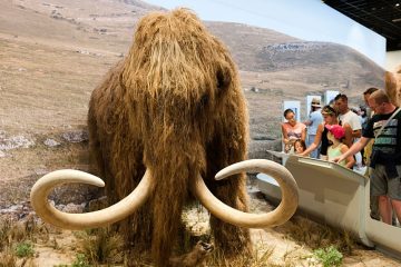 Biotech Company Raises $15 Million to Bring the Woolly Mammoth back to Life
