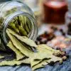 Bay Leaf’s Wonderful Healing Properties: Betters the Digestion, Relieves Wounds, and Decreases Blood Sugar