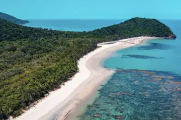 Australia Returns Huge Daintree Rainforest to its Aboriginal Owners on the Border of the Great Barrier Reef