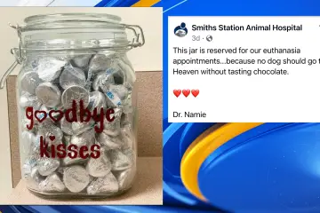 Heartwarming: ‘Goodbye Kisses’ Jar Gives Dogs Special Last Treat before Euthanasia