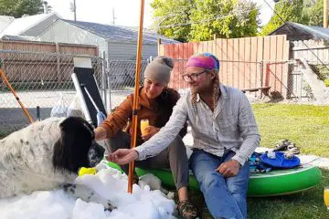 Utah Ice Center Makes Snow for Dying, Cold-Loving Dog to Enjoy Winter once more