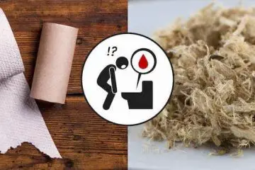The Main Causes of Blood in the Stool + 5 Natural Cures