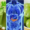 8 Healthy Foods that Your Pancreas Will Love