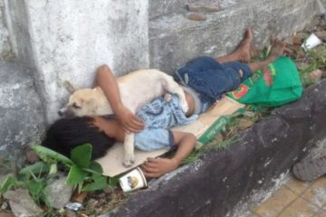 Street Boy Adopts a Homeless Dog & They Stay Together all the Time to Avoid Loneliness