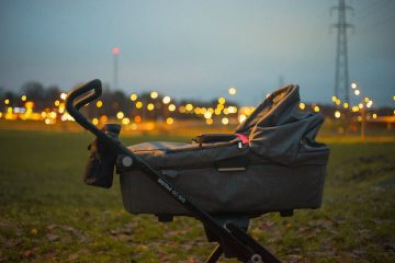 A Little Boy Finds an Abandoned Stroller with Newborn Girl, Years Later, They Meet again