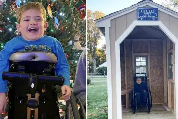 Heartwarming: Teens Build a Bus Stop Shelter for a 5-Year-Old Wheelchair User to Keep Him Safe from Harsh Weather