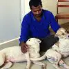 Wonderful: Man Saved Money for a Decade so that He Can Buy an Ambulance for Stray Dogs