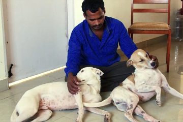 Wonderful: Man Saved Money for a Decade so that He Can Buy an Ambulance for Stray Dogs