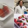This Innovative Bacterial-Killing Packaging May Keep Food Fresh Longer & Put an End to Plastic Waste