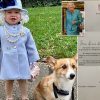 Adorable Toddler Dressed Up as The Queen Receives a Letter from The Queen Herself Complementing Her Splendid Outfit