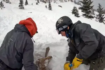 Colorado College Students Rescue a Trapped Dog in an Avalanche