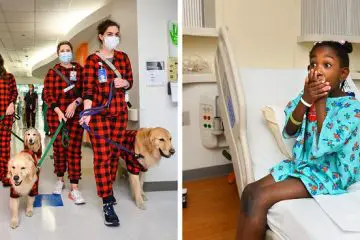 Heartwarming: Dogs in Pajamas Visit Patients at the Texas Children’s Hospital for the Holidays