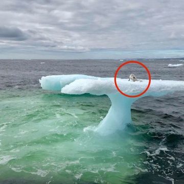 antarctica iceberg fox news antarctica iceberg fox news