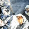Bus Station Opens Its Doors to Stray Dogs & Offers Them a Place to Stay Warm & Sleep
