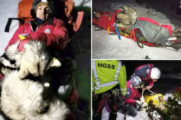 A Miracle: Dog Helps Keep Injured Hiker Alive in the Cold Croatian Mountains