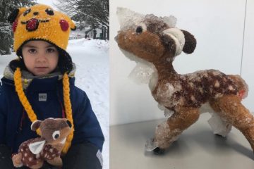 Boy’s Stuffed Bambi “Rescued” from a Frozen Canal although He Thought People Won’t Care