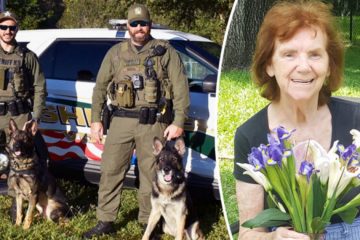 90-Year-Old Woman Loves German Shepherds & Donates $32K to the Sheriff’s Office K9 Unit to Purchase Them Bulletproof Vests