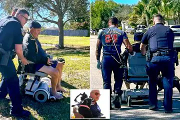 Wheelchair Tumbles into Lake but 81-Year-Old Is Saved from Drowning by His Dog’s Barking