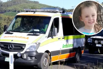 4-Year-Old Found Alive & Well after 2 Days of Being Lost in Southern Tasmania
