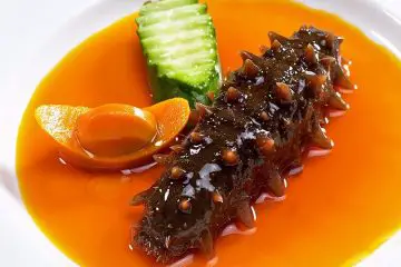 Remarkable Health Benefits of Sea Cucumbers (from Fighting against Cancer to Improving the Heart Health)