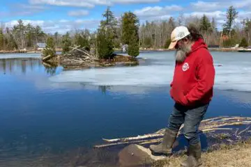 “If I’m Here, She’s Here”: Man Builds a Wetland Paradise on His Property for His Late Wife