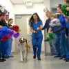 San Diego Rescue Pup Gets a “Pawty” to Celebrate His One Year of Being Cancer-Free