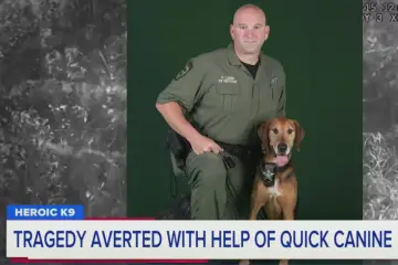 What a Good Boy! K9 Dog Finds Missing Florida Woman with Dementia