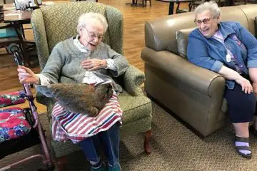 This Friendly Pet Chicken Is Cheering Arizona Assisted Living Home Residents & They Love Her