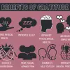 The Wonderful Effects of Gratitude on the Brain & Body (Sciencewise)