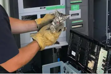 Firefighters Help Save a Kitty Stuck in an ATM-His New Name Is Cash