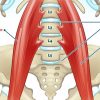 Psoas Muscle Pain Relief: 5 Ways to Heal the “Muscle of the Soul”