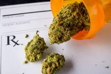 Doctors Explain the Best 8 Benefits of Medical Cannabis