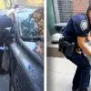 NY Police Officer Adopts a Dog She Helped Save from a Hot Car