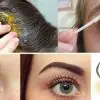 With This Oil, Your Hair, Eyelashes, and Eyebrows Will Grow Faster than ever