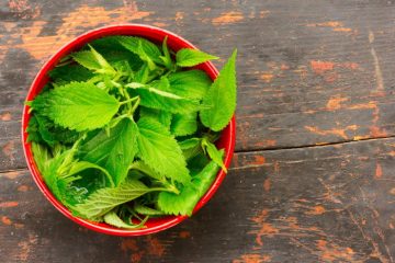 13 Scientific Health Benefits of Stinging Nettle Tea