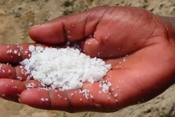 Toxic & Carcinogenic Plastics Found in 15 Sea Salt Brands from Various Countries