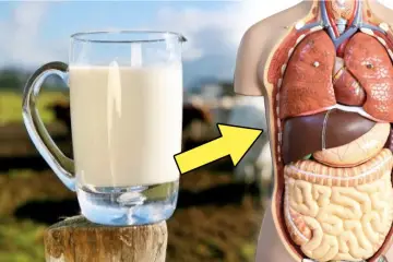You’ve Been Lied to for Decades about Raw Milk & What It Really Does to Your Body