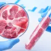 Lab-Grown Meat Has a Big Problem Very Few People Know About