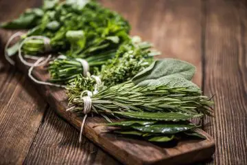 Try These Herbs If You Need to Strengthen Your Bones