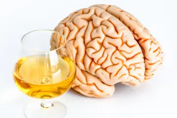 This Is What Happens to Your Brain After Abstaining from Alcohol for 2 Months