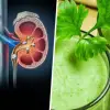 Lemon & Parsley Syrup: A Potent Combo to Dissolve Kidney Stones